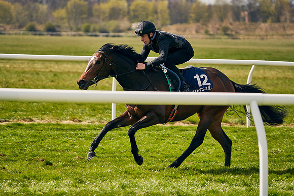 2021-04-12-Dominic-James-Craven-Breeze-Up-Sales-0869