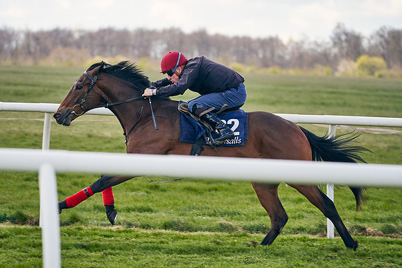 2021-04-12-Dominic-James-Craven-Breeze-Up-Sales-1050