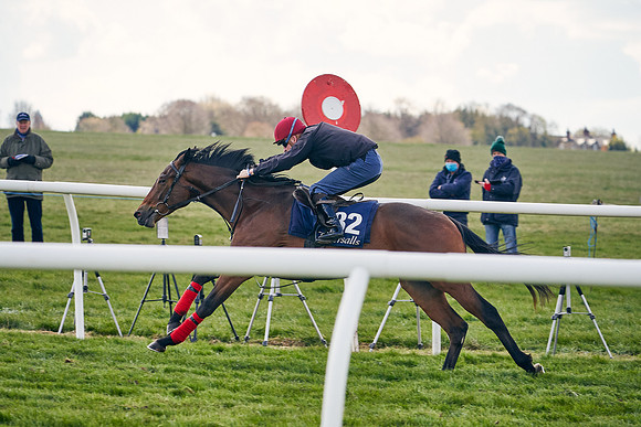 2021-04-12-Dominic-James-Craven-Breeze-Up-Sales-1055