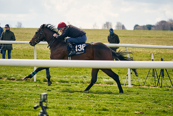 2021-04-12-Dominic-James-Craven-Breeze-Up-Sales-0892