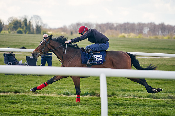 2021-04-12-Dominic-James-Craven-Breeze-Up-Sales-1052