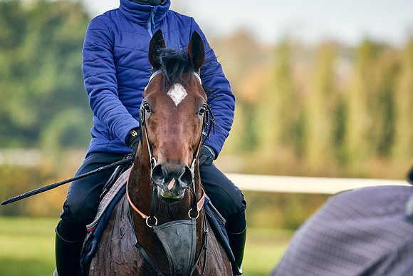 2020-10-28-Dominic-James-4678
