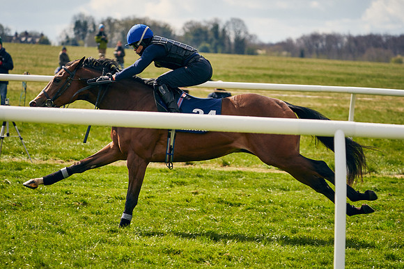 2021-04-12-Dominic-James-Craven-Breeze-Up-Sales-0867