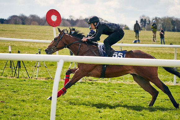 2021-04-12-Dominic-James-Craven-Breeze-Up-Sales-0966