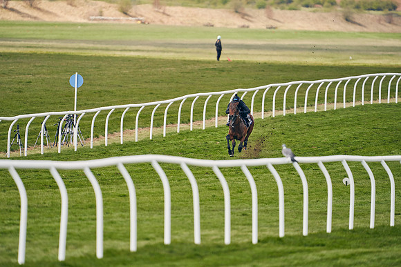 2021-04-12-Dominic-James-Craven-Breeze-Up-Sales-0926