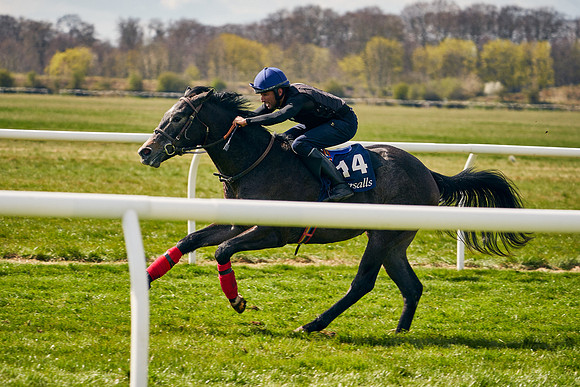 2021-04-12-Dominic-James-Craven-Breeze-Up-Sales-0991