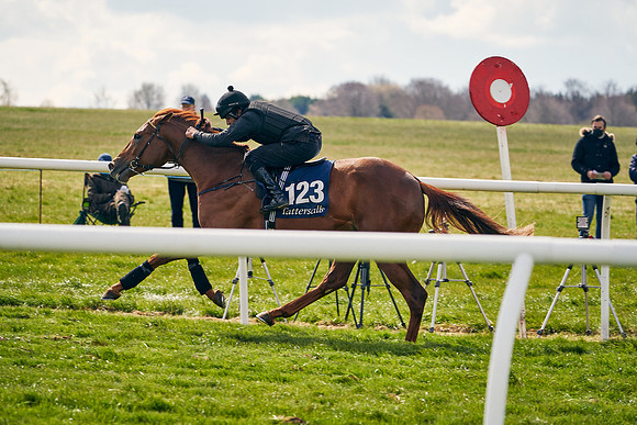 2021-04-12-Dominic-James-Craven-Breeze-Up-Sales-0912