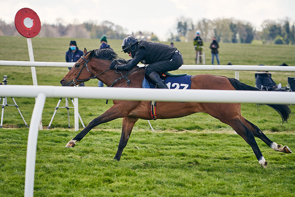 2021-04-12-Dominic-James-Craven-Breeze-Up-Sales-1040