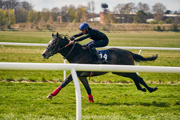 2021-04-12-Dominic-James-Craven-Breeze-Up-Sales-0990