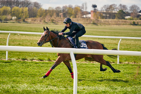 2021-04-12-Dominic-James-Craven-Breeze-Up-Sales-0957