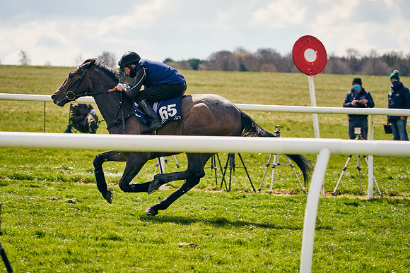 2021-04-12-Dominic-James-Craven-Breeze-Up-Sales-0976