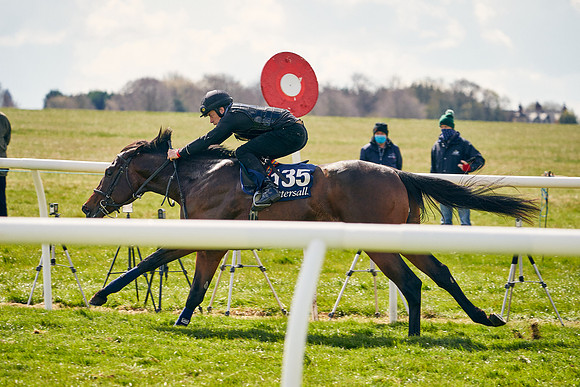 2021-04-12-Dominic-James-Craven-Breeze-Up-Sales-1029