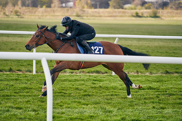 2021-04-12-Dominic-James-Craven-Breeze-Up-Sales-1033