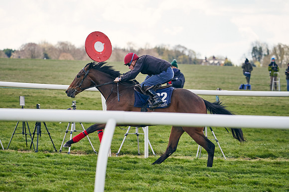 2021-04-12-Dominic-James-Craven-Breeze-Up-Sales-1054