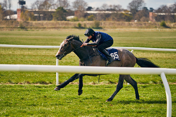 2021-04-12-Dominic-James-Craven-Breeze-Up-Sales-0970