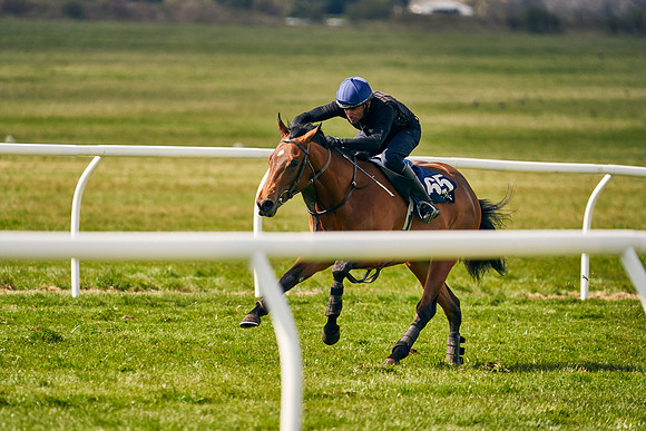 2021-04-12-Dominic-James-Craven-Breeze-Up-Sales-0915