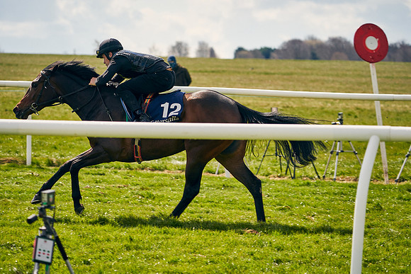 2021-04-12-Dominic-James-Craven-Breeze-Up-Sales-0875