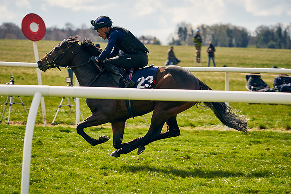 2021-04-12-Dominic-James-Craven-Breeze-Up-Sales-0882