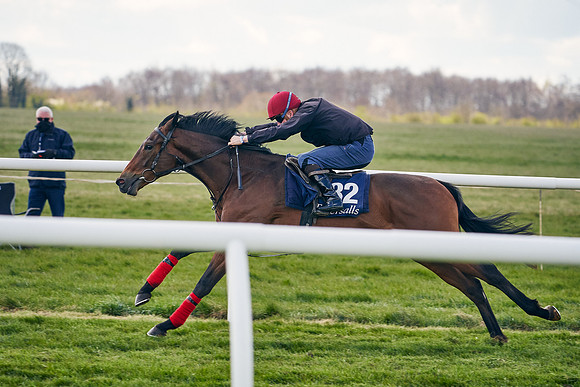 2021-04-12-Dominic-James-Craven-Breeze-Up-Sales-1051
