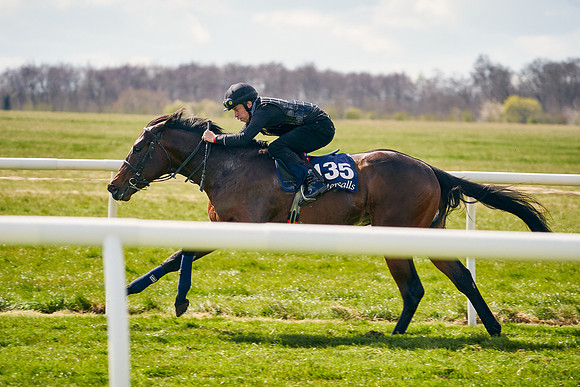 2021-04-12-Dominic-James-Craven-Breeze-Up-Sales-1025