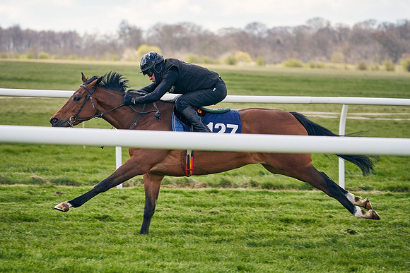 2021-04-12-Dominic-James-Craven-Breeze-Up-Sales-1037