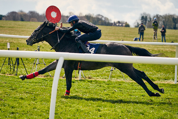 2021-04-12-Dominic-James-Craven-Breeze-Up-Sales-0996