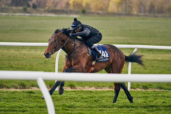 2021-04-12-Dominic-James-Craven-Breeze-Up-Sales-0928