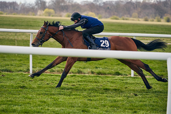 2021-04-12-Dominic-James-Craven-Breeze-Up-Sales-0895