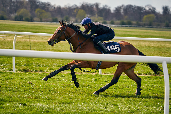 2021-04-12-Dominic-James-Craven-Breeze-Up-Sales-0917