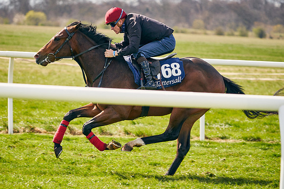 2021-04-12-Dominic-James-Craven-Breeze-Up-Sales-0983