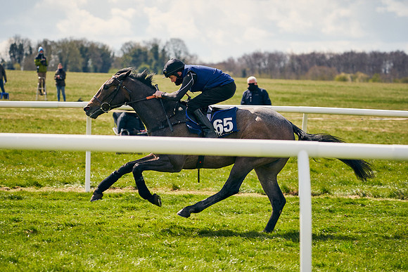 2021-04-12-Dominic-James-Craven-Breeze-Up-Sales-0972