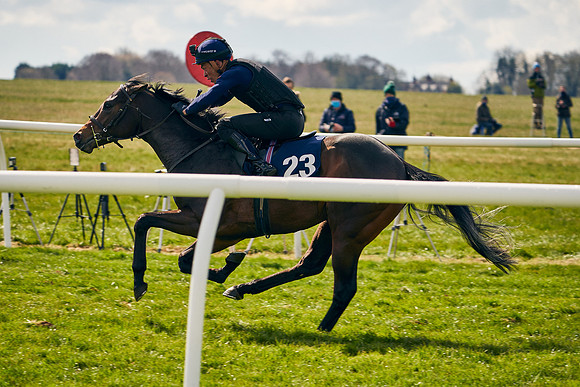 2021-04-12-Dominic-James-Craven-Breeze-Up-Sales-0883