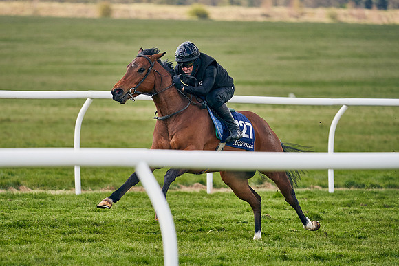 2021-04-12-Dominic-James-Craven-Breeze-Up-Sales-1032