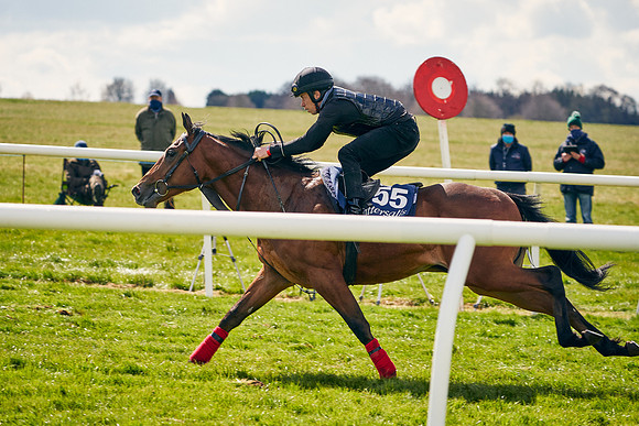 2021-04-12-Dominic-James-Craven-Breeze-Up-Sales-0967
