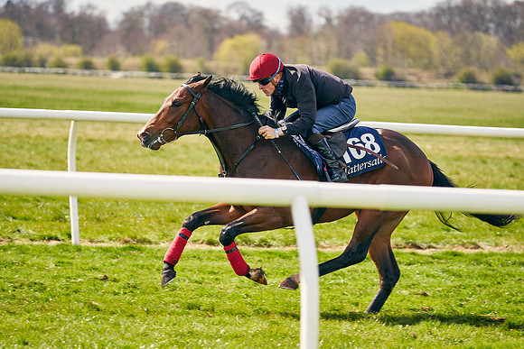 2021-04-12-Dominic-James-Craven-Breeze-Up-Sales-0979