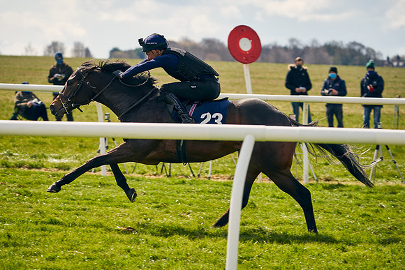 2021-04-12-Dominic-James-Craven-Breeze-Up-Sales-0884