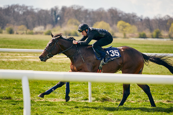 2021-04-12-Dominic-James-Craven-Breeze-Up-Sales-1023