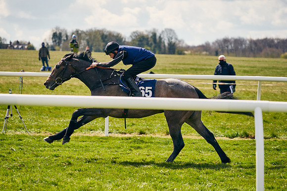 2021-04-12-Dominic-James-Craven-Breeze-Up-Sales-0973