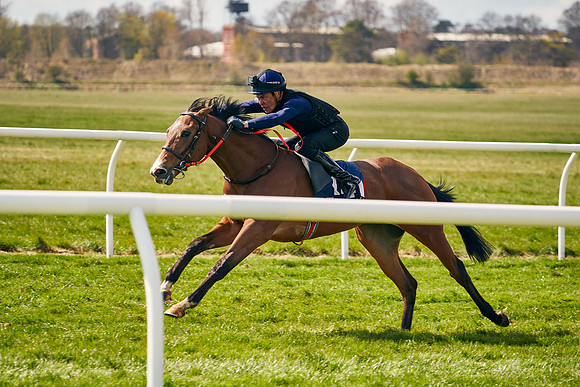 2021-04-12-Dominic-James-Craven-Breeze-Up-Sales-1013