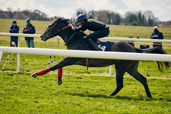 2021-04-12-Dominic-James-Craven-Breeze-Up-Sales-0994