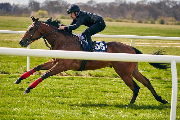 2021-04-12-Dominic-James-Craven-Breeze-Up-Sales-0963