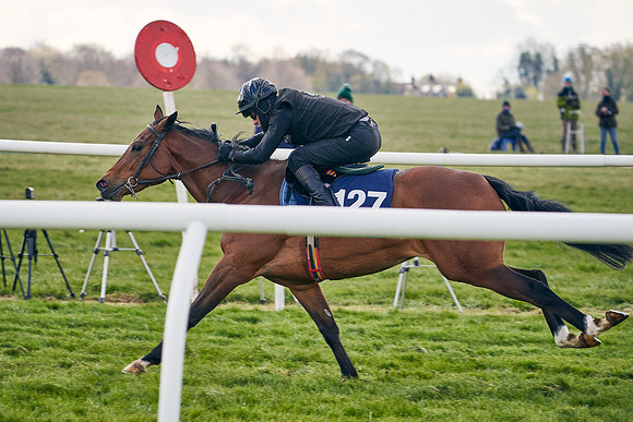 2021-04-12-Dominic-James-Craven-Breeze-Up-Sales-1041