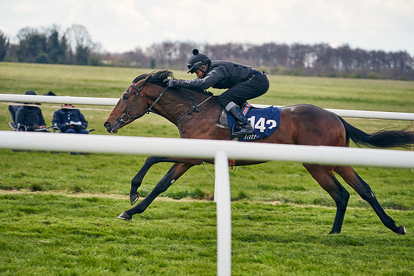 2021-04-12-Dominic-James-Craven-Breeze-Up-Sales-0933