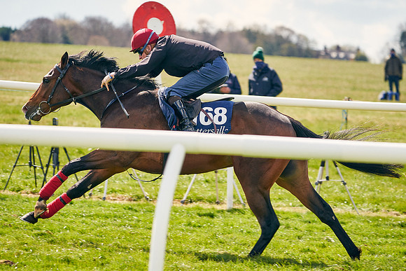 2021-04-12-Dominic-James-Craven-Breeze-Up-Sales-0987