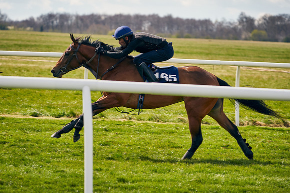 2021-04-12-Dominic-James-Craven-Breeze-Up-Sales-0920