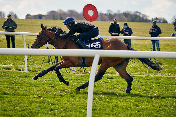 2021-04-12-Dominic-James-Craven-Breeze-Up-Sales-0923