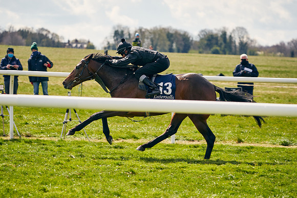 2021-04-12-Dominic-James-Craven-Breeze-Up-Sales-1007