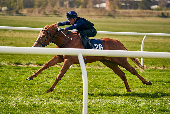 2021-04-12-Dominic-James-Craven-Breeze-Up-Sales-0951