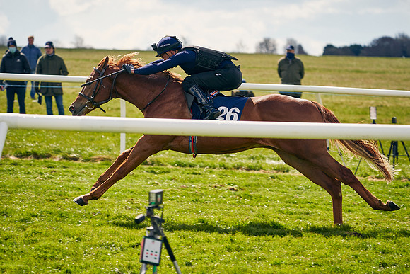 2021-04-12-Dominic-James-Craven-Breeze-Up-Sales-0954