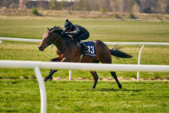 2021-04-12-Dominic-James-Craven-Breeze-Up-Sales-1003